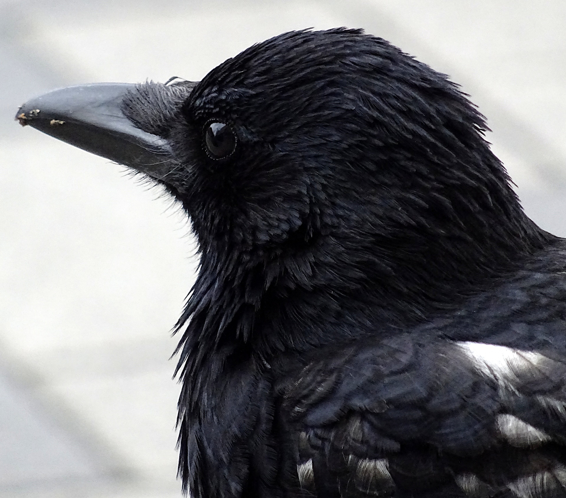 todduhr8817193 Profile Picture