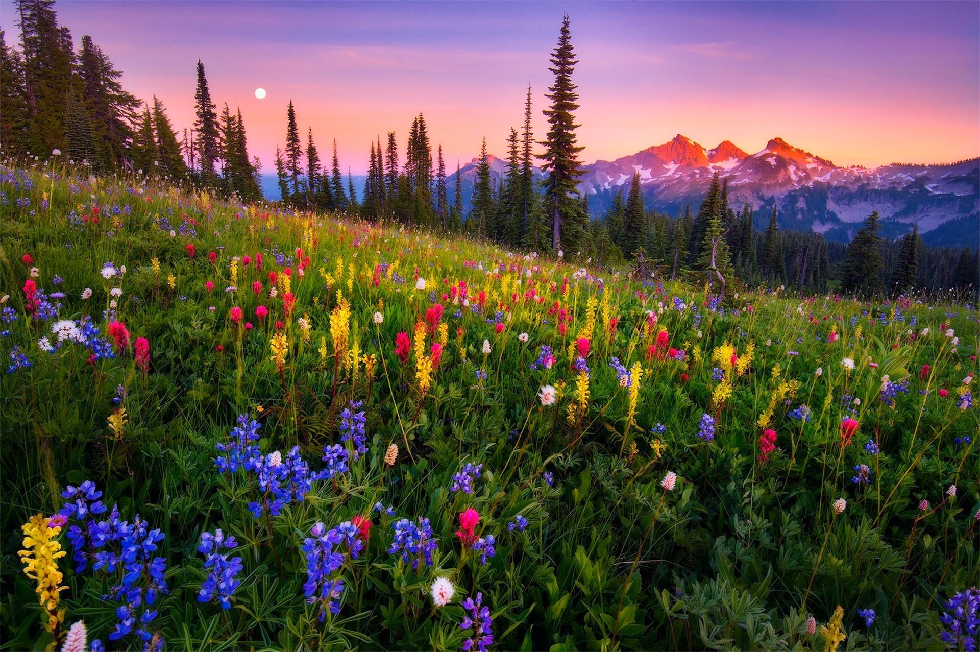 clayaiston6084 Cover Image